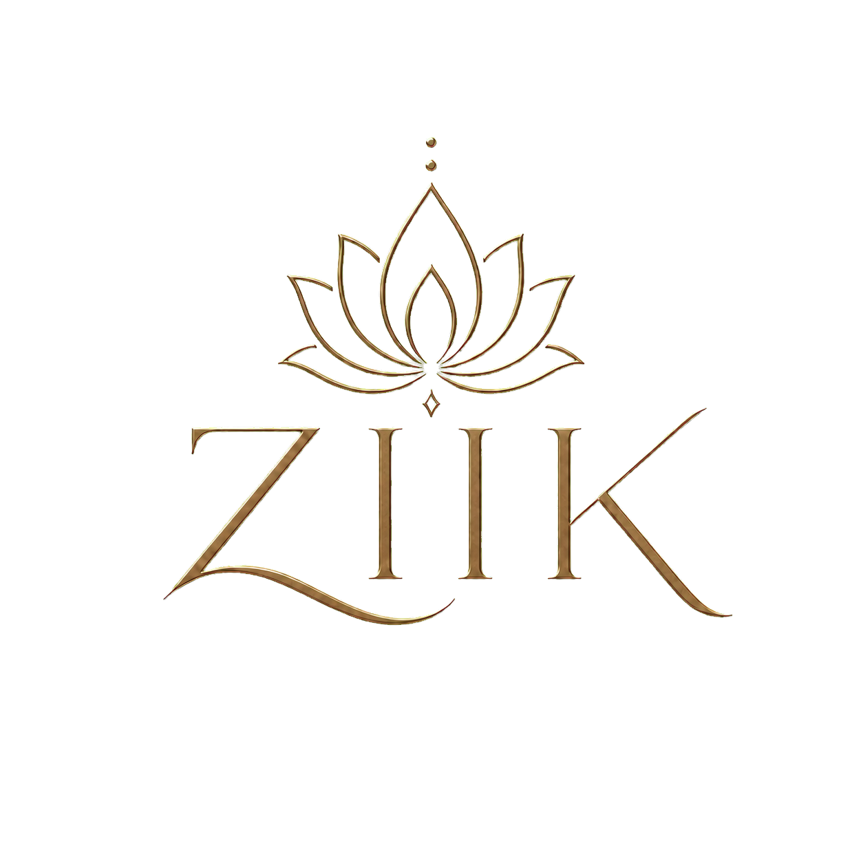 Casa ZiiK