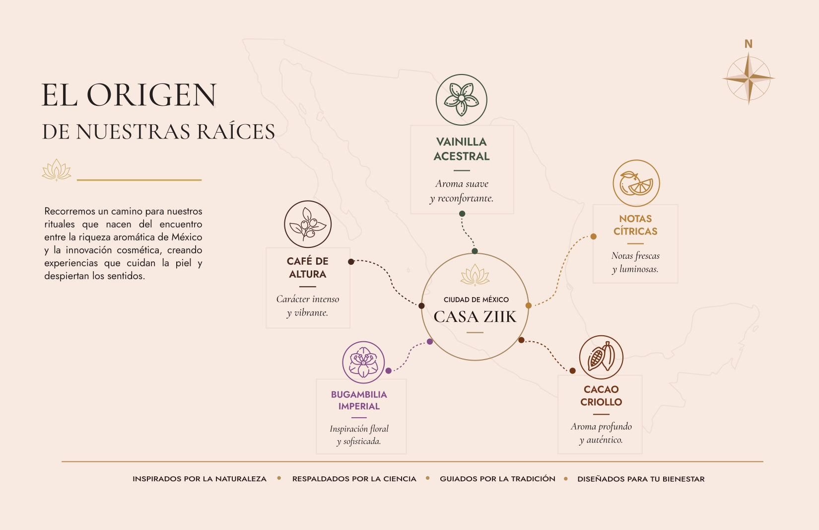 Mapa de los ingredientes de Casa ZIIK: vainilla ancestral, notas cítricas, cacao criollo, bugambilia imperial y café de altura.